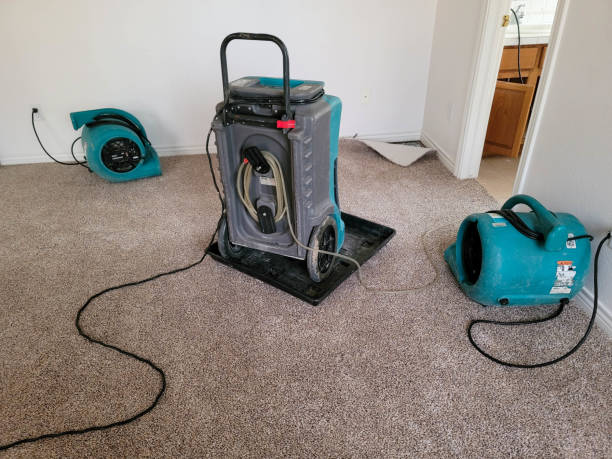 Best Commercial water damage restoration  in Albany, IN