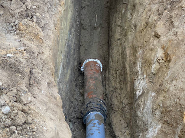 Best Sewage cleanup and water damage restoration  in Albany, IN