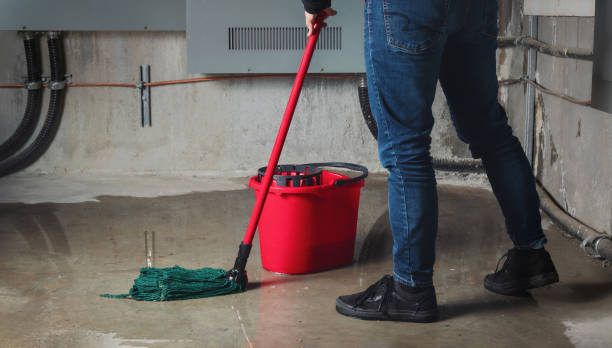 Best 24/7 water damage repair  in Albany, IN