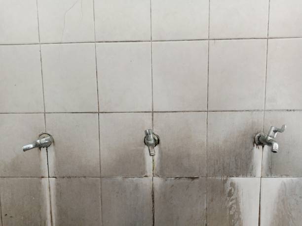 Best Local water damage restoration  in Albany, IN
