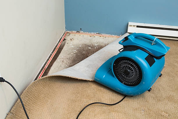 Best Fire Damage Restoration  in Albany, IN