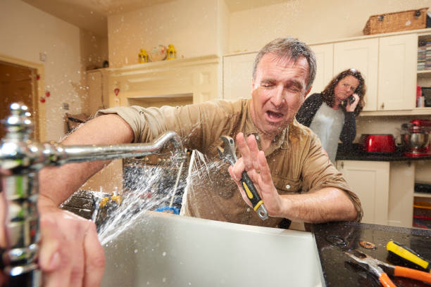 Best Water damage cleanup near me  in Albany, IN